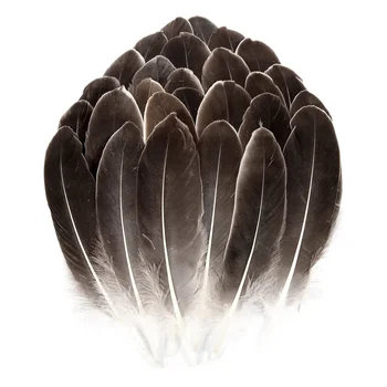 Натуральные перья серого гуся оптом 100шт 6-8 дюймов 15-20 см Поделки своими руками Косплей Свадебная вечеринка Украшение Хэллоуина Гусиные перья