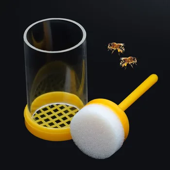Плунжер для пчеловодства с надписью Queen Bee Инструмент для ловли бутылок Маркировка Принадлежности для пчеловода с мягким плунжером Инструменты для маркировки пчел