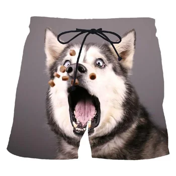 Пляжные шорты с 3D принтом Сибирского хаски Для мужчин, уличные короткие штаны с милыми животными и собаками, повседневные летние крутые плавки Оверсайз